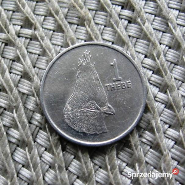 Botswana Kalisz sprzedam