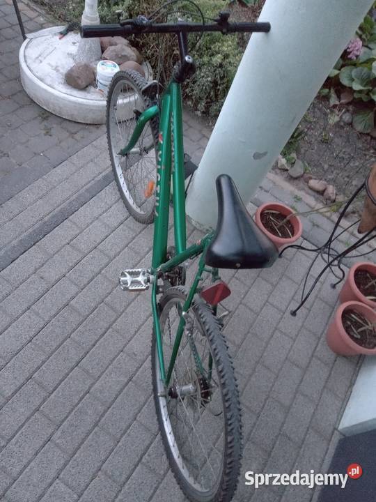 Rower damka gorski 26
