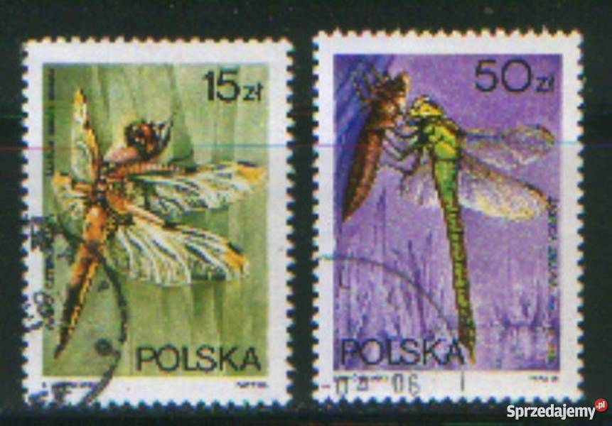 Zn. Fi 2987, 91 kas 1988