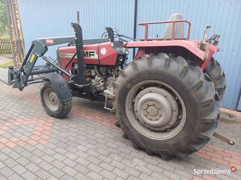 Ciągnik Massey Ferguson 255 Anglik Tur Polskowola