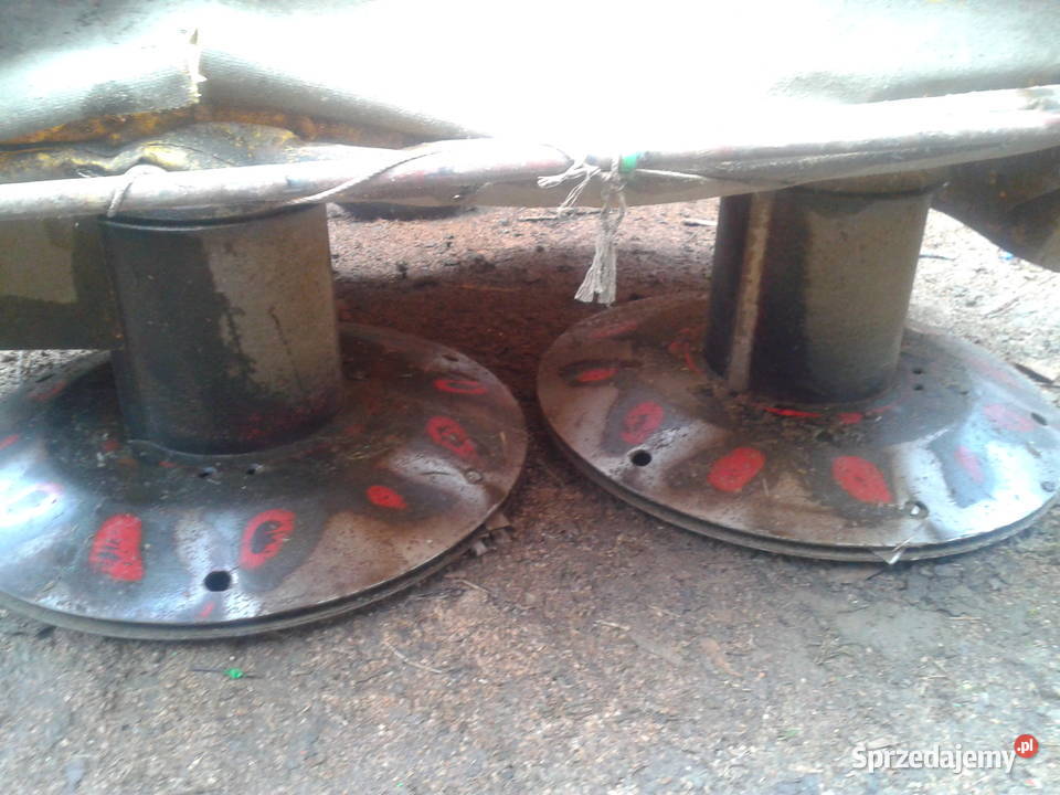 kopaczka do ziemniaków elewatorowa Nowa Słupia sprzedam