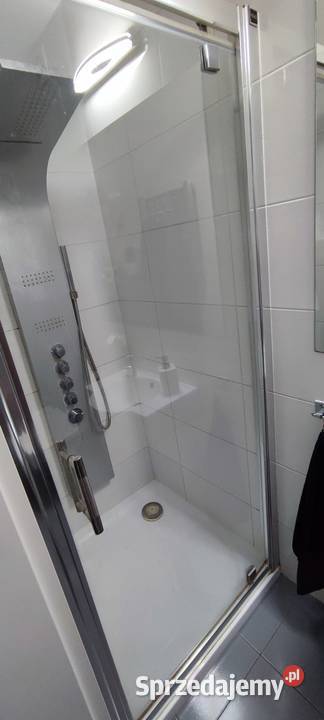 Panel prysznicowy Corsan szary Stan db Baterie łazienkowe Łask