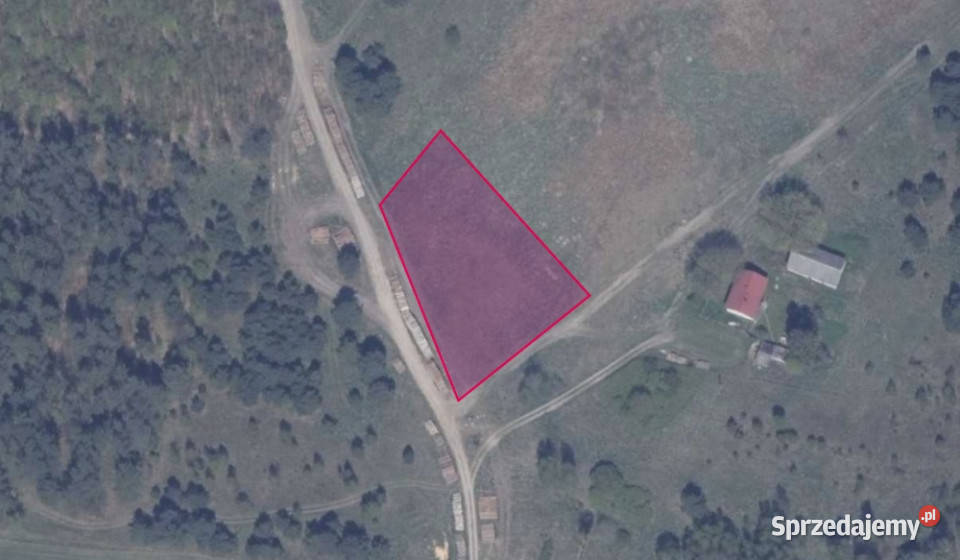 Działka 771 w miejscowości Błotnia rolna Sprzedaż