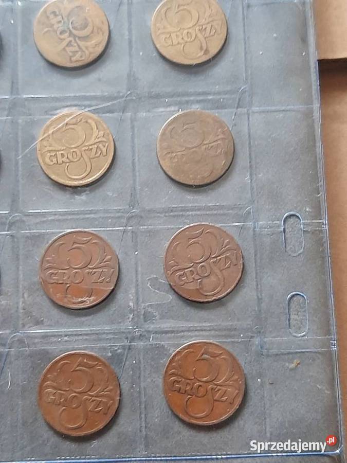 5 Groszy Bielsko-Biała