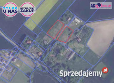 Sprzedaż działki Dalwin 3018m2 Sprzedaż