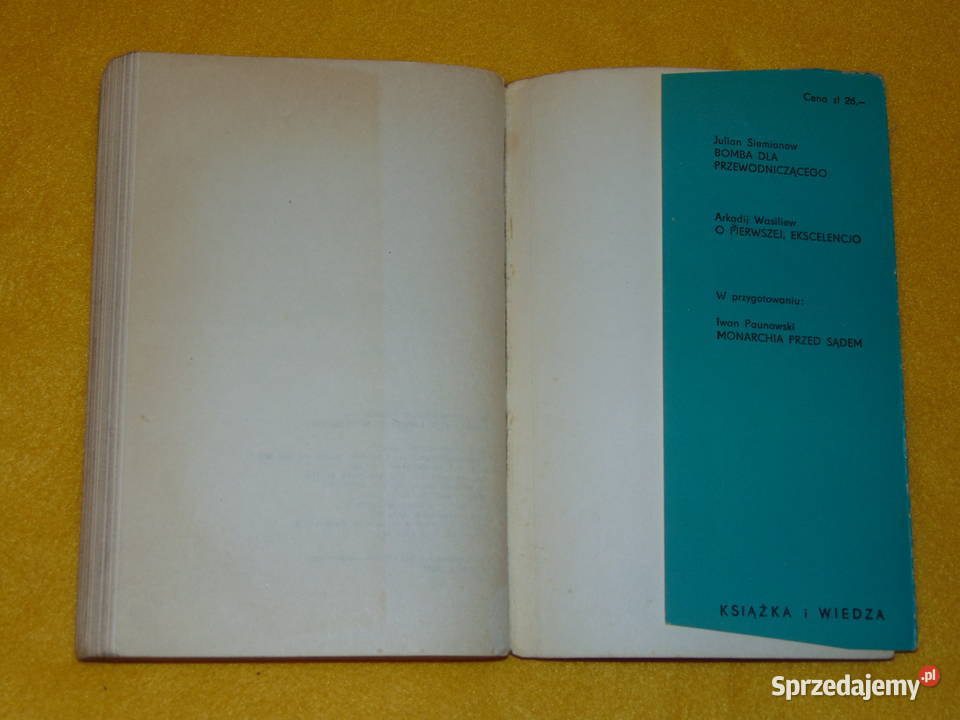 Wieża Babel East River Stanisław Głąbiński Książki i Podręczniki lubelskie Lublin