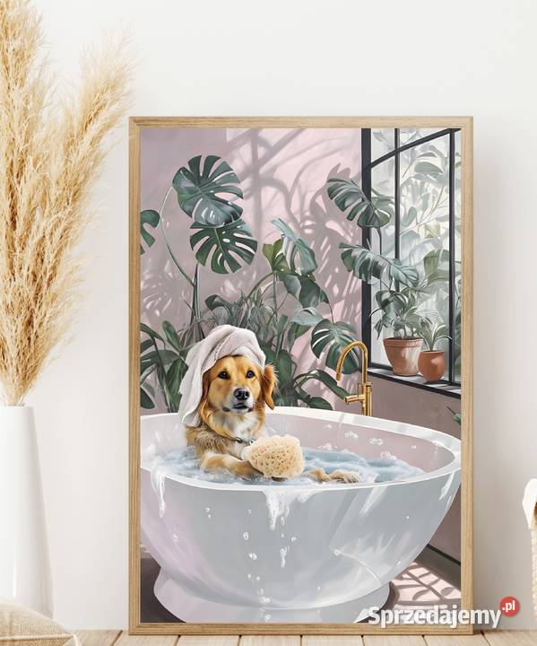 Plakat pies w kąpieli Pełczyce