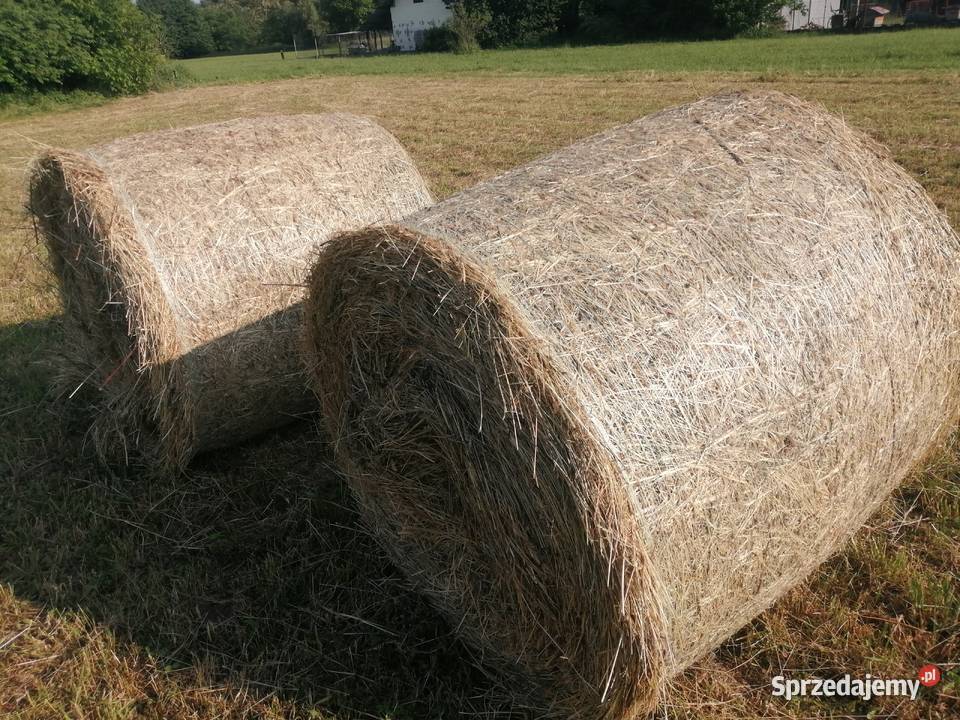Siano Trawy, słoma Bochnia