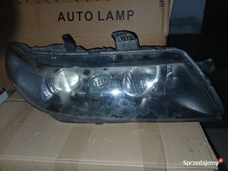 Lampy przód Honda Accord vii osobowe Złotniki sprzedam