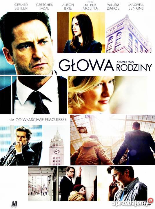 GŁOWA RODZINY GERARD BUTLER DVDKS Kalisz