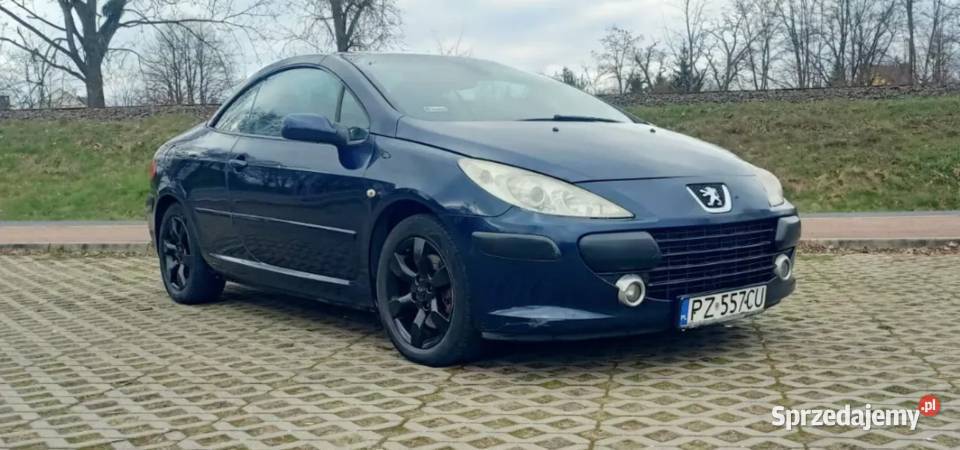 Peugeot 307 CC