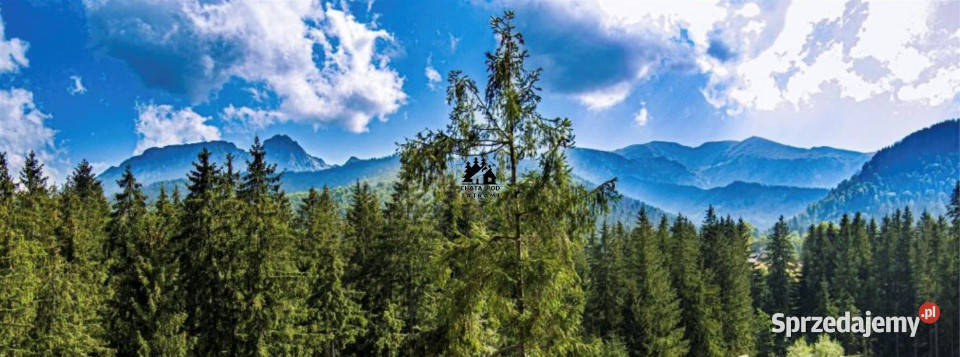 Grunt Kościelisko 1750 metrów