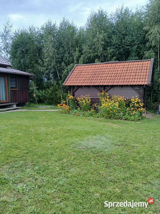 Sprzedam działkę na Mazurach Zachodnich Wólka Majdańska