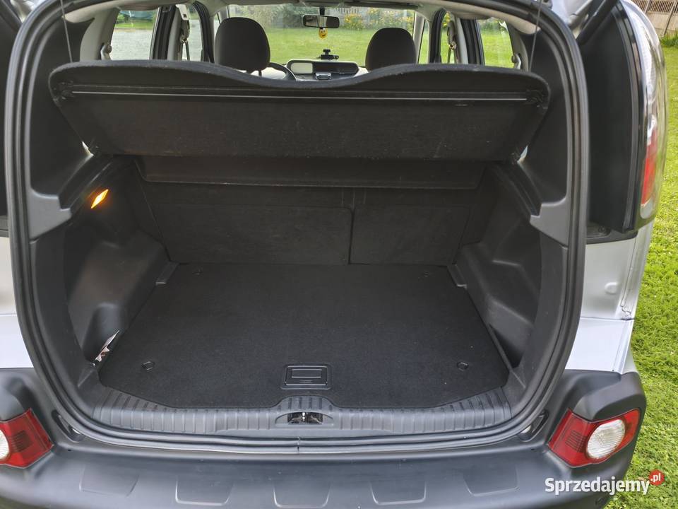 Citroen C3 Picasso Rok produkcji 2009 podkarpackie Dębica