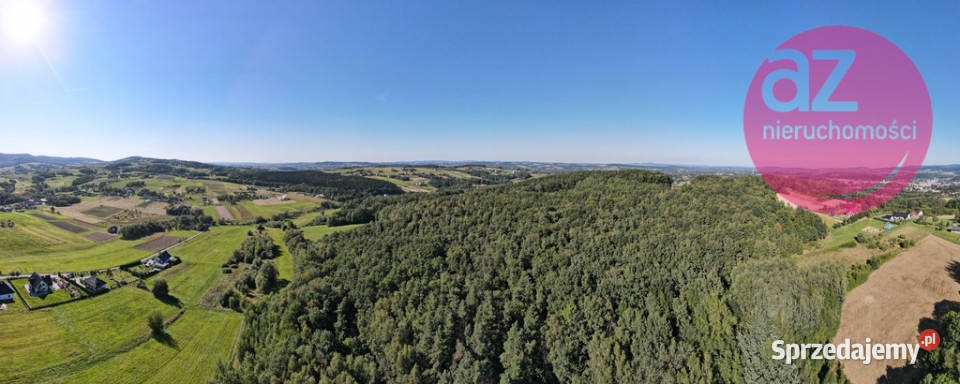 Las 169ha w Gorlicach obręb Stróżówka
