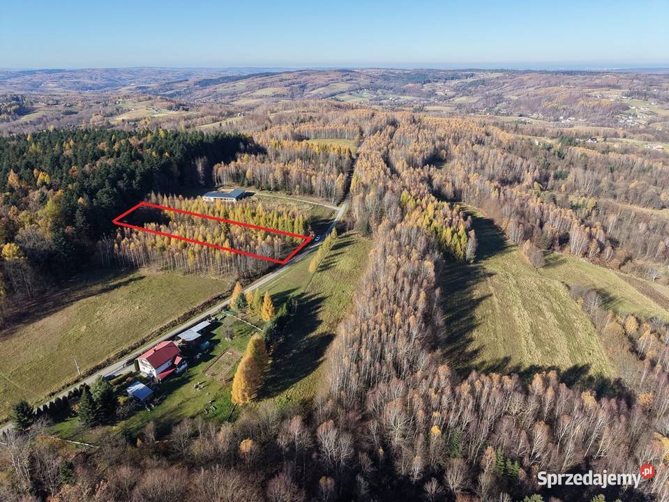 Działka lesie Gwoznica Górna Gwoźnica Górna sprzedam