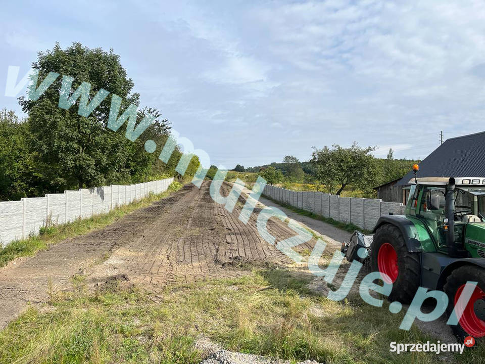 Karczowanie działek RekultywacjaMulczowanie Karczowanie i usuwanie drzew