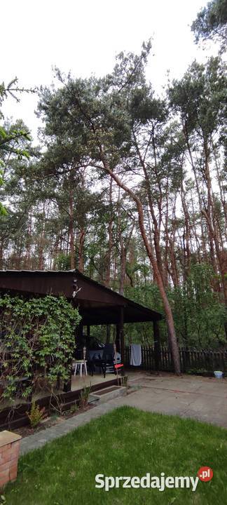 Działka jeziorem Dymaczewo Nowe Własnościowa drewniane