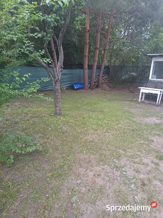 Odstąpię prawo do Dzialki ROD ,,Kolonia Dotrzyma''