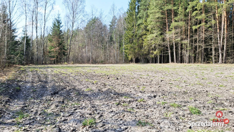 Działka na sprzedaż Solniczki 1109m2 podlaskie