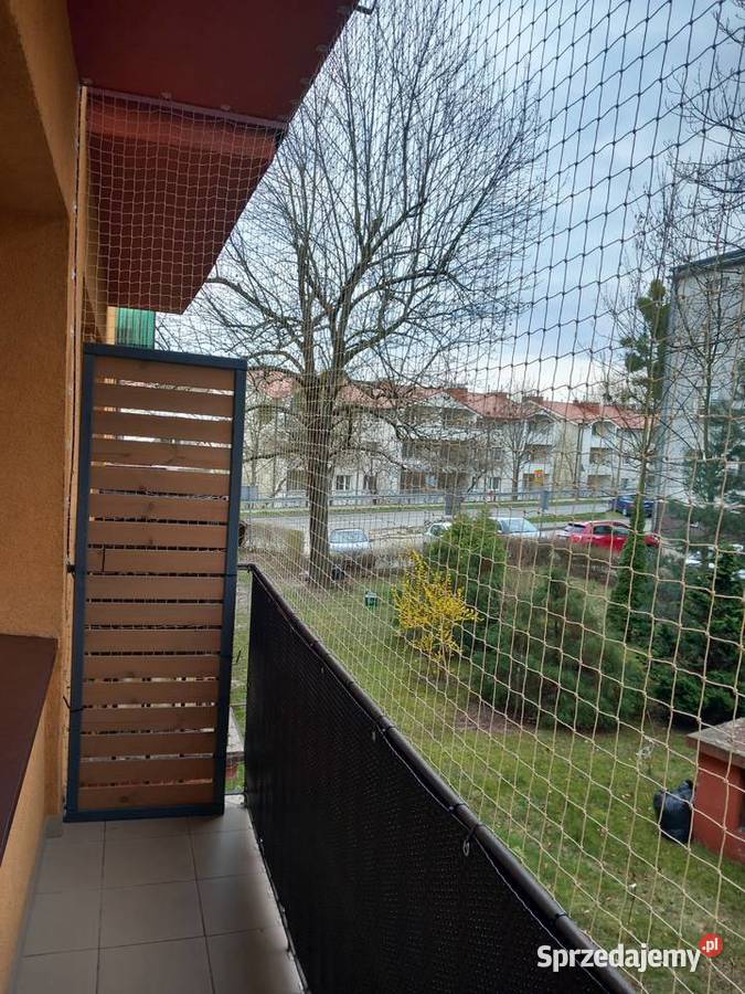 siatka na balkon okna Opole