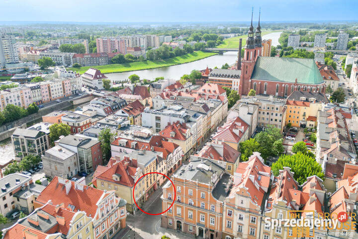 Lokal 329m Opole opolskie