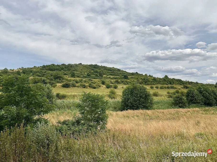 Na sprzedaż Działka Bielawa Łysa Góra 225zł/m2