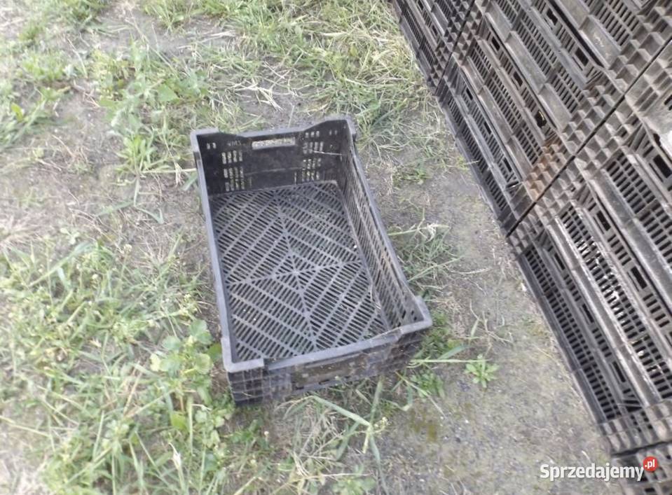 Skrzynka ogrodnicza Pozostałe mazowieckie Siedlce sprzedam