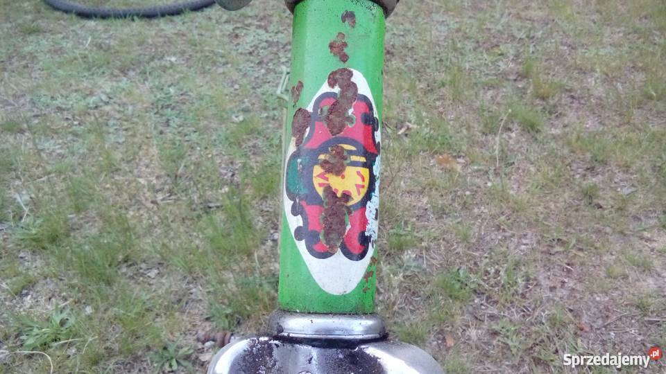 Rosyjski składak Rambynas nie wigry jubilat Kębłowo