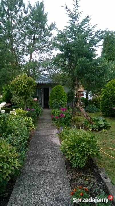 Wyspa Pucka Szczecin zachodniopomorskie