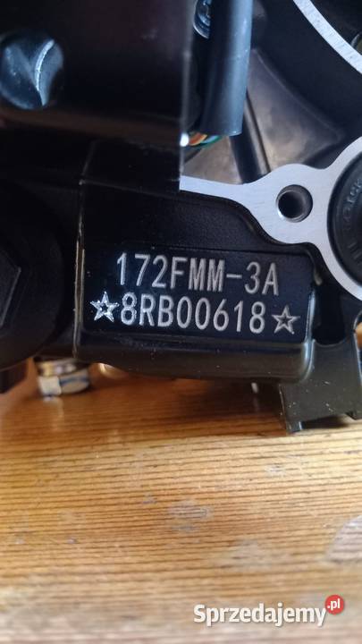 Nowy Silnik 250cc 172fMM do Alfarad Diabolini