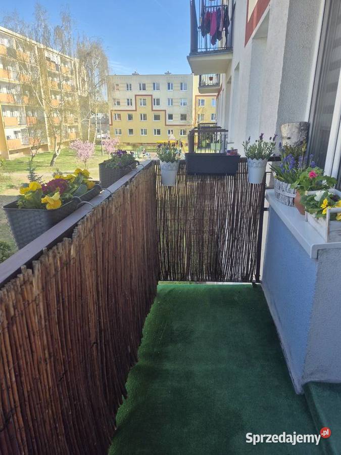 Rewelacyjnie usytuowane 2 pokojowe mieszkanie na internet Bydgoszcz