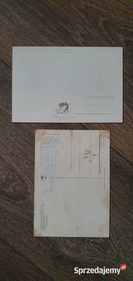 Stare kartki pocztowe miasta i konie małopolskie Kraków
