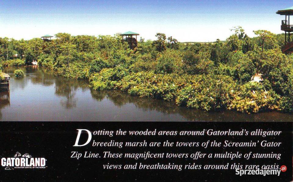 Kart Poczt Miami Floryda widoki Gliwice