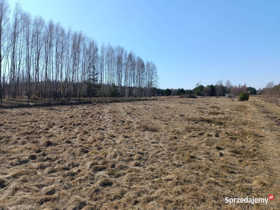 Sprzedam działki budowlane w Sadku 1000m2 50m Szydłowiec