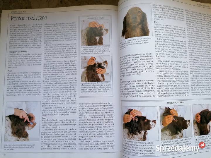 Księga psów podkarpackie Mielec sprzedam