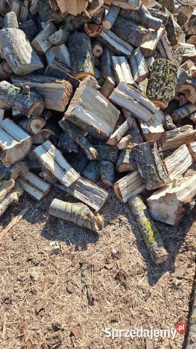 Twarde drewno kominkowe Opał Ogrzewanie Oborniki