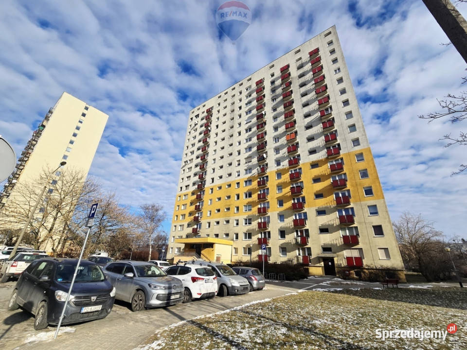 Na wynajem kawalerka osZwycięstwa Liczba pokoi 1 Poznań sprzedam