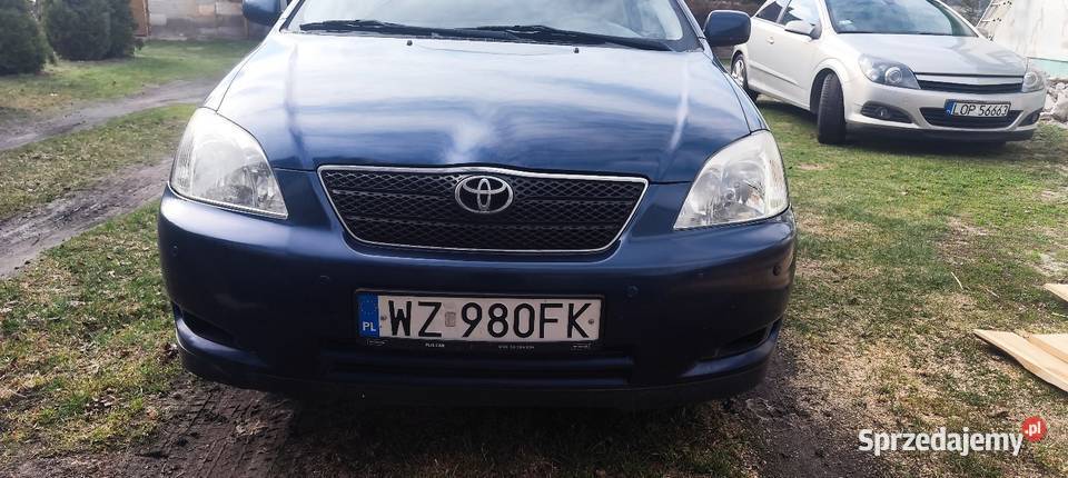 Tośka na sprzedarz niebieski Siedliszcze-Osada sprzedam