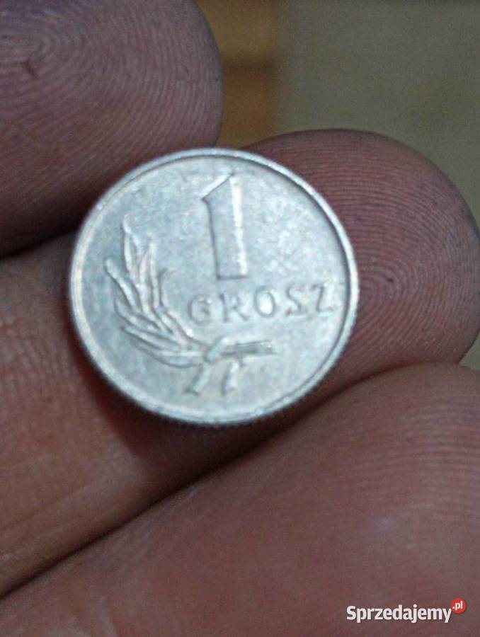 Sprzedam monete 1 grosz 1949 r bez znaku mennicy Chełm
