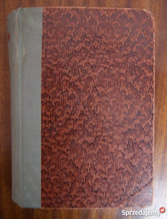 Ferdynand Goetel Z dnia na dzień 1931