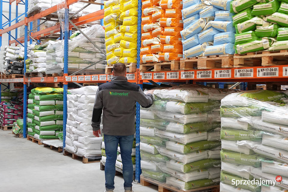 TRAWA ODPORNA na tereny suche przydomowe Cieśle