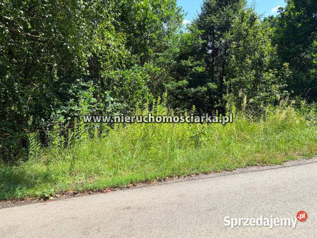 Działka Mszana 3550m2 3550m2