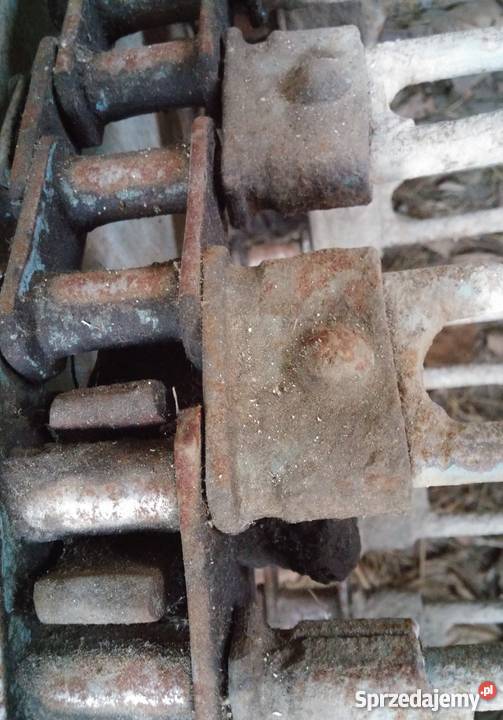 kopaczka do ziemniaków elewatorowa dwurzędowa Z Pozostałe