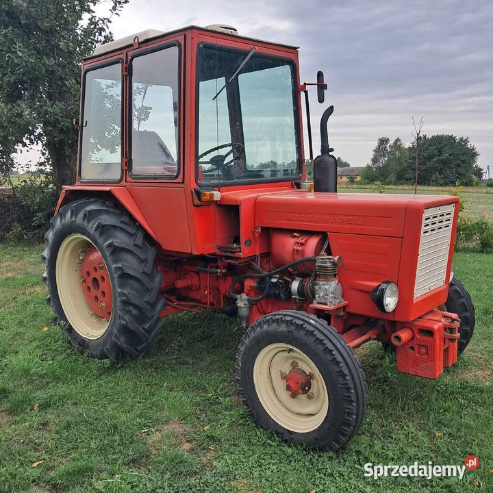 WŁADYMIREC T25
