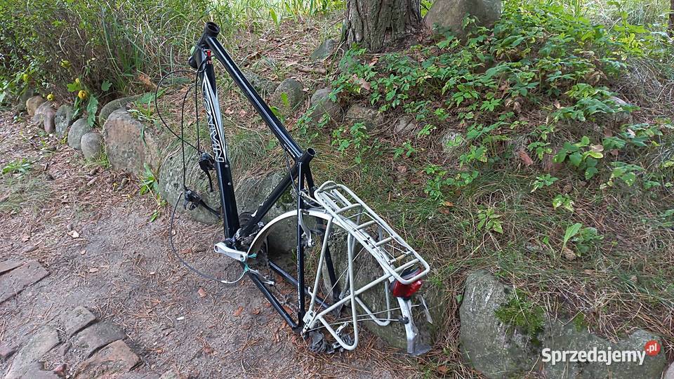 Rama Rowerowa Rower Męski Calvin CA605 Alu 7005 Części i akcesoria Wołów