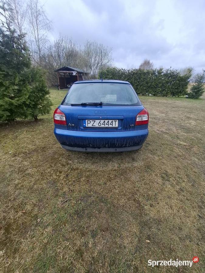 Audi A3 16 benzyna benzyna Recz