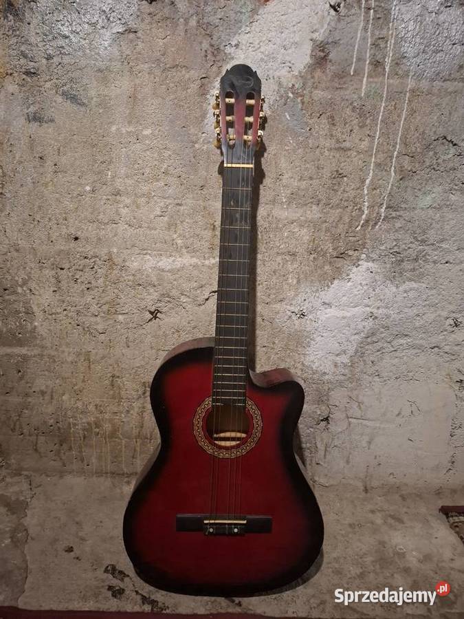 Gitara akustyczna Corelli Warszawa sprzedam