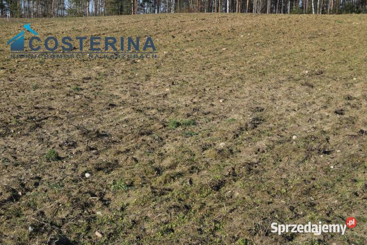 Grunt Kalisz 1020m2 prąd