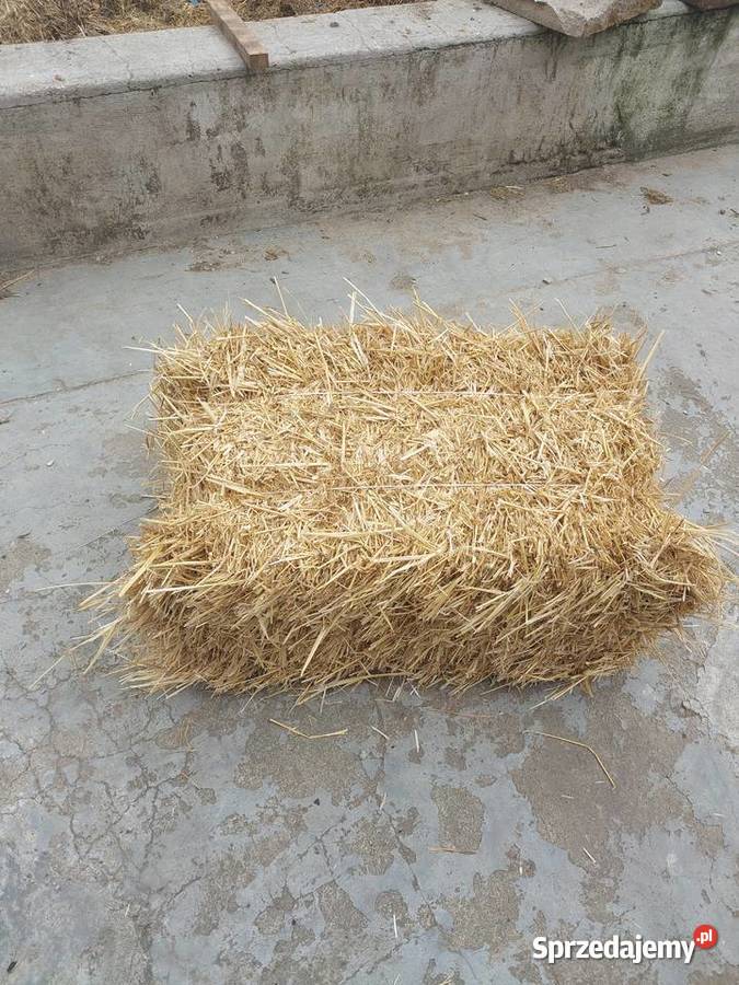 Sprzedam slomesiano w kostkach Wola Raniżowska